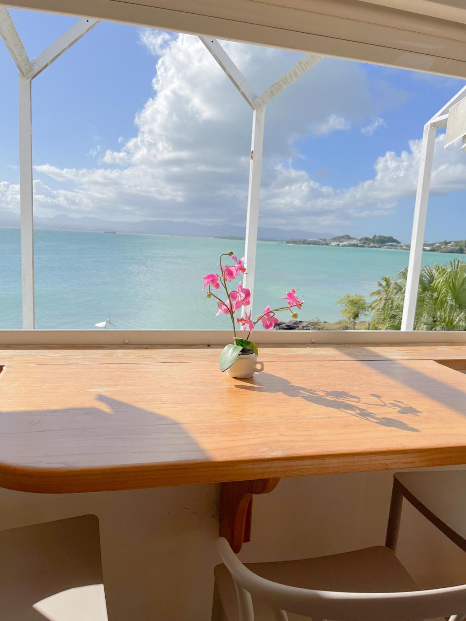 Appartement Les Yuccas, Vue Sur La Mer Et Les Montagnes Le Gosier  Exterior photo